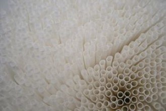 Bio-cannuccia